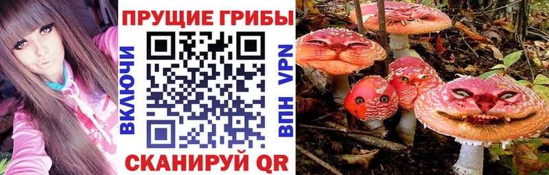 наркотики  Петушки  Псилоцибиновые грибы Psilocybine cubensis 